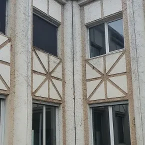 Arrachage lierre façade Grenoble
