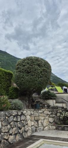 Paysagiste - Entretien jardin Saint Ismier