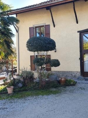 Saint-Ismier - Entretien harmonieux jardin