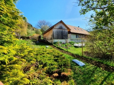 Paysagiste Grenoble - Plantation de haies