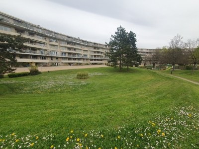 Fauchage raisonné dans une copropriété - Entreprise paysagiste Grenoble