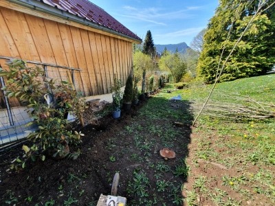 Plantation de haies - Paysagiste Grenoble
