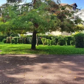 Entretien harmonieux d’une copropriété à Meylan (Isère)