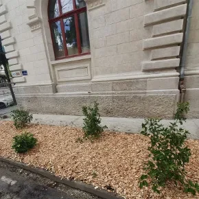 Aménagement d’un massif végétal à Grenoble