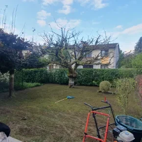 Scarification et regarnissage de gazon à Crolles