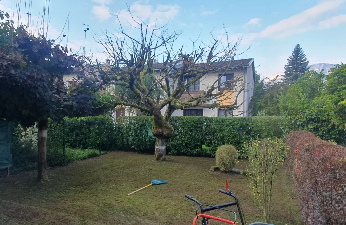 Scarification et regarnissage de gazon à Crolles