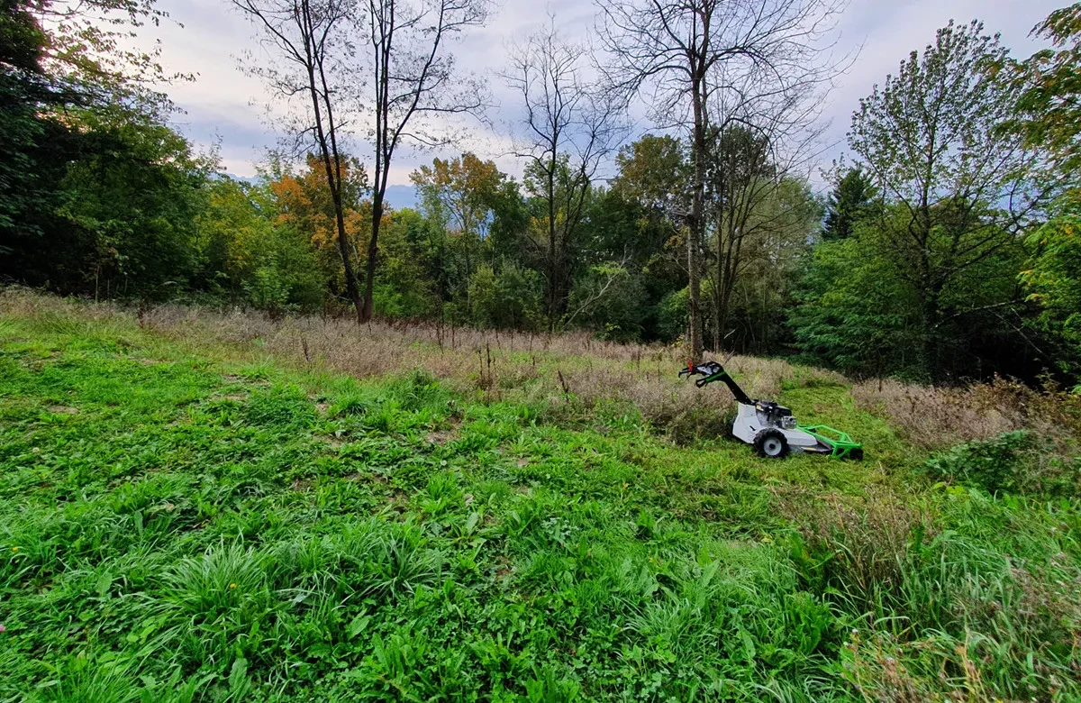Avant Fauchage d'une zone enherbée à Biviers