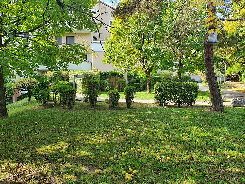 Taille d'arbustes paysagiste Grenoble