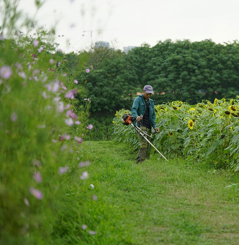 Débroussaillage Grenoble entretien jardin