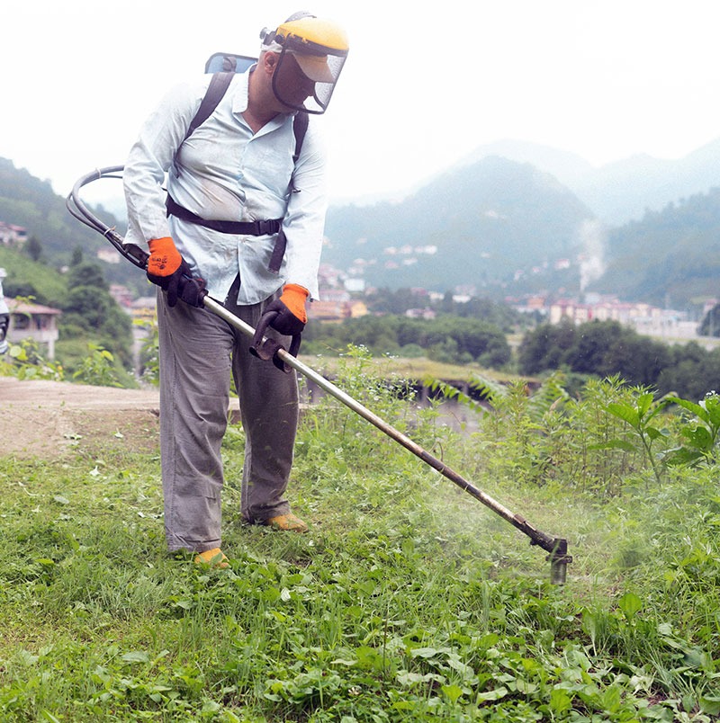 Paysagiste Grenoble débroussaillage